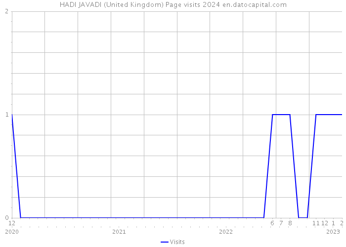 HADI JAVADI (United Kingdom) Page visits 2024 