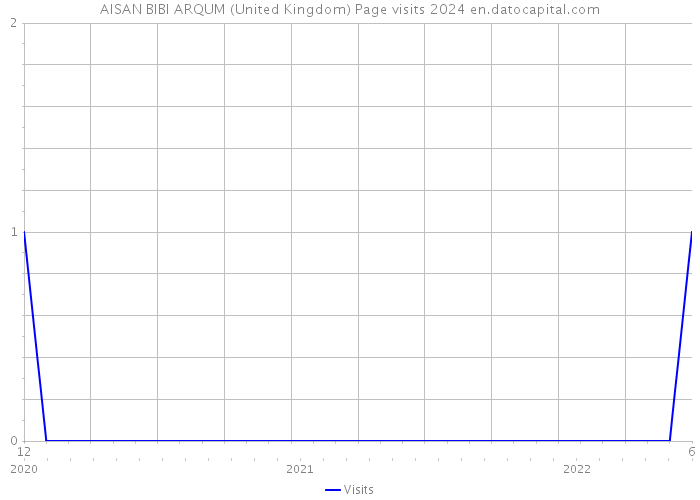 AISAN BIBI ARQUM (United Kingdom) Page visits 2024 