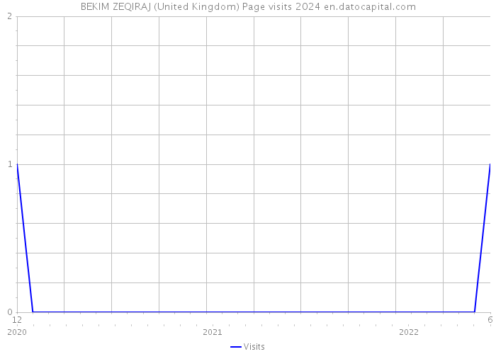 BEKIM ZEQIRAJ (United Kingdom) Page visits 2024 