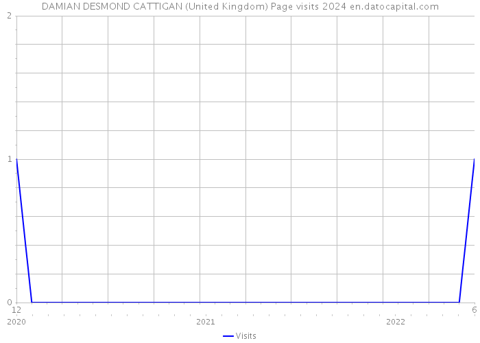 DAMIAN DESMOND CATTIGAN (United Kingdom) Page visits 2024 