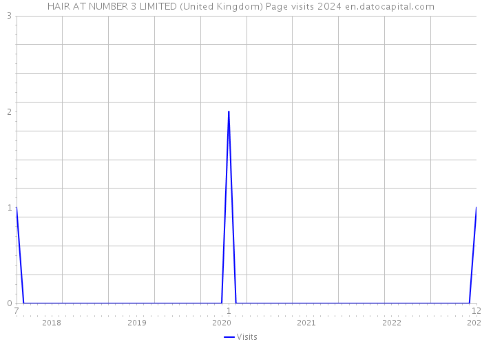 HAIR AT NUMBER 3 LIMITED (United Kingdom) Page visits 2024 