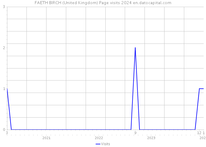FAETH BIRCH (United Kingdom) Page visits 2024 
