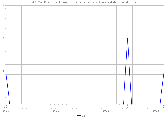 JIAN YANG (United Kingdom) Page visits 2024 