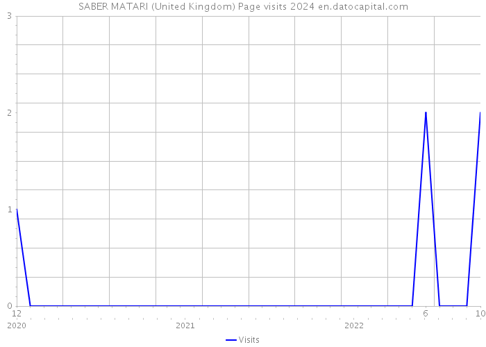 SABER MATARI (United Kingdom) Page visits 2024 