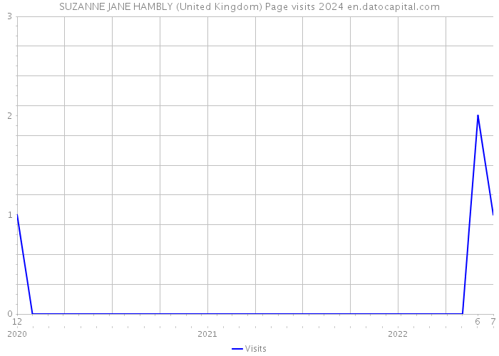SUZANNE JANE HAMBLY (United Kingdom) Page visits 2024 