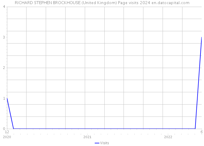 RICHARD STEPHEN BROCKHOUSE (United Kingdom) Page visits 2024 
