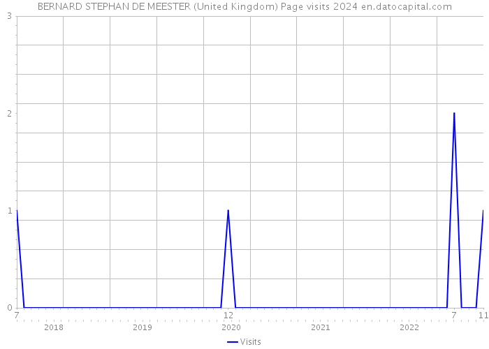 BERNARD STEPHAN DE MEESTER (United Kingdom) Page visits 2024 