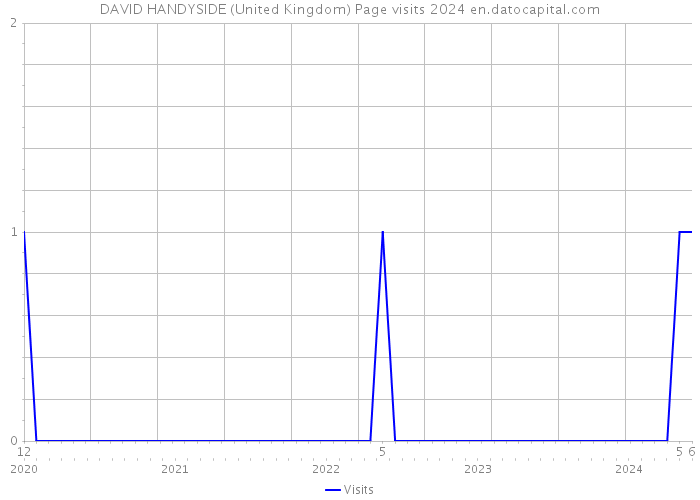 DAVID HANDYSIDE (United Kingdom) Page visits 2024 