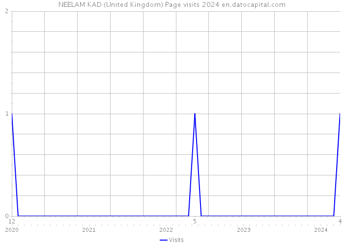 NEELAM KAD (United Kingdom) Page visits 2024 