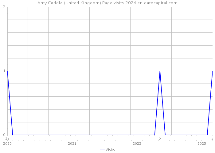 Amy Caddle (United Kingdom) Page visits 2024 