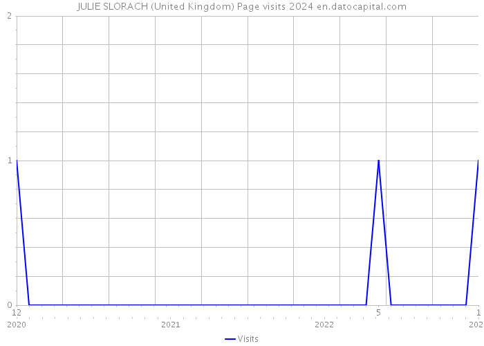 JULIE SLORACH (United Kingdom) Page visits 2024 