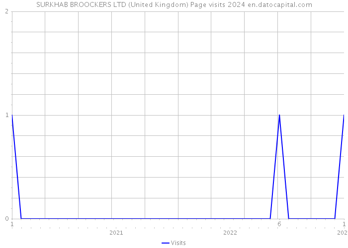 SURKHAB BROOCKERS LTD (United Kingdom) Page visits 2024 