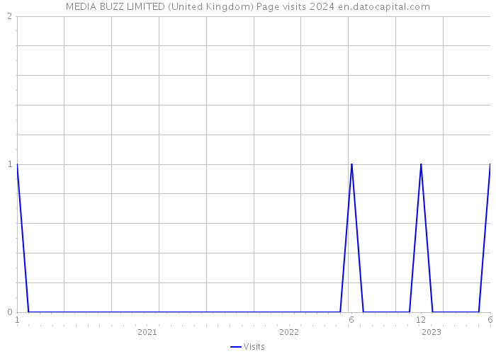 MEDIA BUZZ LIMITED (United Kingdom) Page visits 2024 
