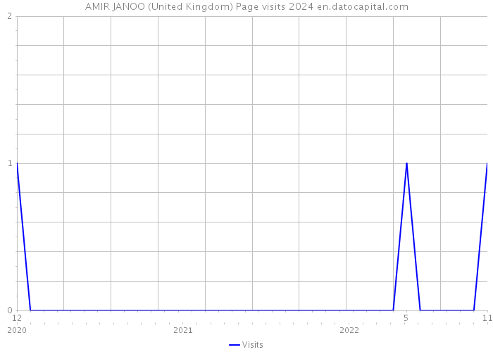 AMIR JANOO (United Kingdom) Page visits 2024 