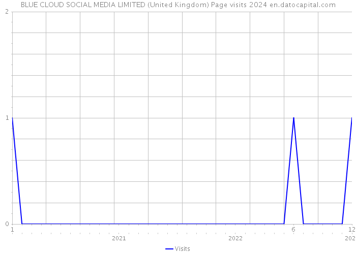 BLUE CLOUD SOCIAL MEDIA LIMITED (United Kingdom) Page visits 2024 