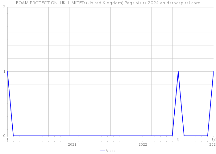 FOAM PROTECTION UK LIMITED (United Kingdom) Page visits 2024 