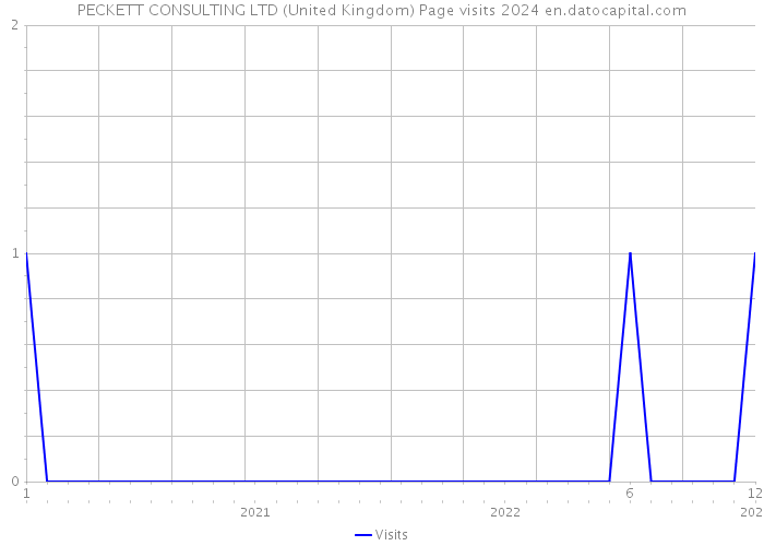 PECKETT CONSULTING LTD (United Kingdom) Page visits 2024 
