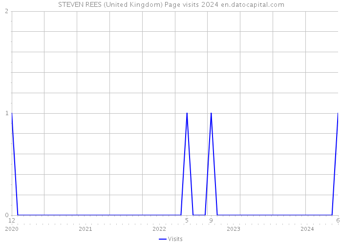 STEVEN REES (United Kingdom) Page visits 2024 
