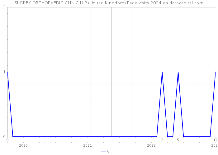 SURREY ORTHOPAEDIC CLINIC LLP (United Kingdom) Page visits 2024 