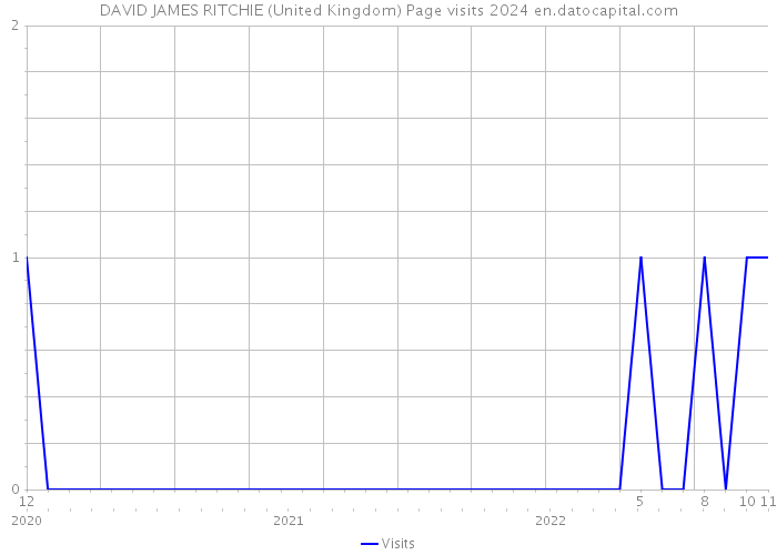 DAVID JAMES RITCHIE (United Kingdom) Page visits 2024 