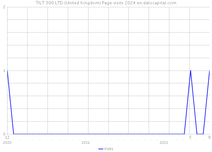 TILT 300 LTD (United Kingdom) Page visits 2024 