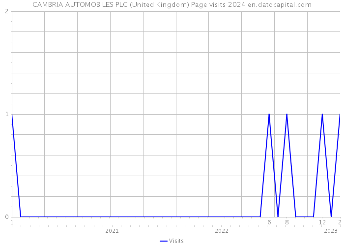CAMBRIA AUTOMOBILES PLC (United Kingdom) Page visits 2024 