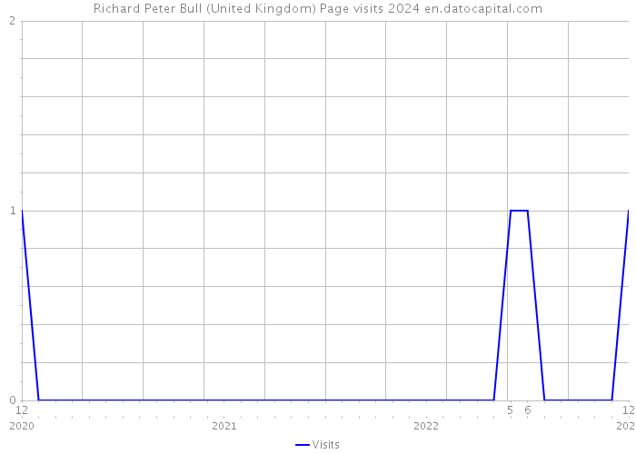 Richard Peter Bull (United Kingdom) Page visits 2024 
