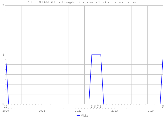 PETER DELANE (United Kingdom) Page visits 2024 