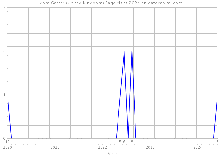 Leora Gaster (United Kingdom) Page visits 2024 