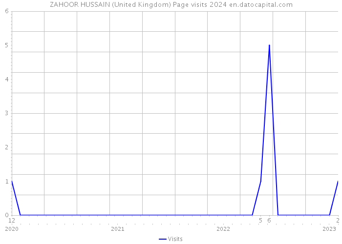 ZAHOOR HUSSAIN (United Kingdom) Page visits 2024 
