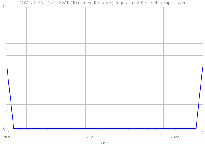 DOMINIC ANTONY SAVARINO (United Kingdom) Page visits 2024 