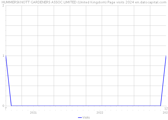 HUMMERSKNOTT GARDENERS ASSOC LIMITED (United Kingdom) Page visits 2024 