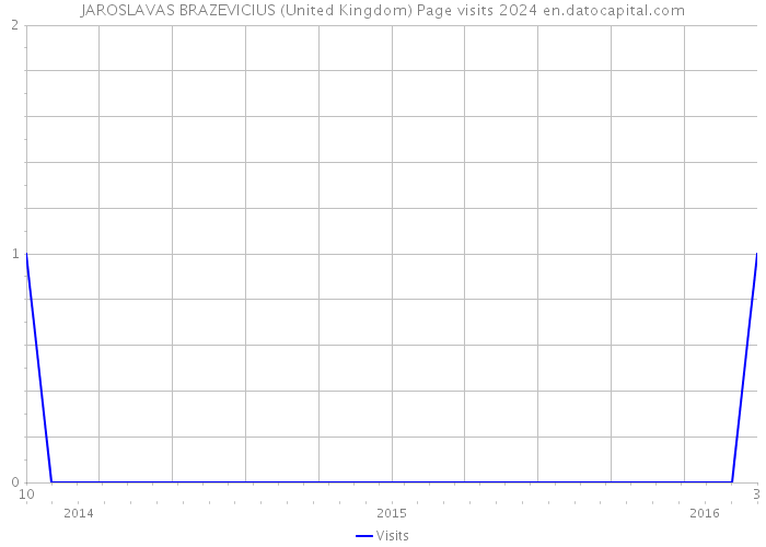 JAROSLAVAS BRAZEVICIUS (United Kingdom) Page visits 2024 