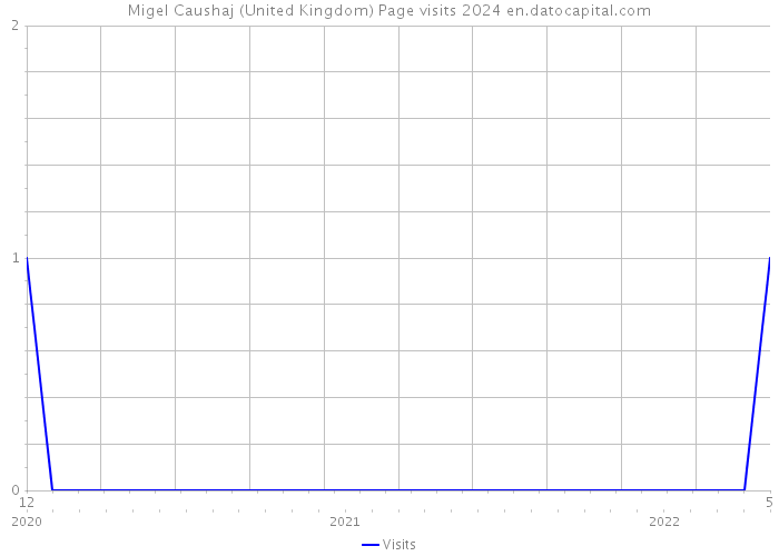 Migel Caushaj (United Kingdom) Page visits 2024 
