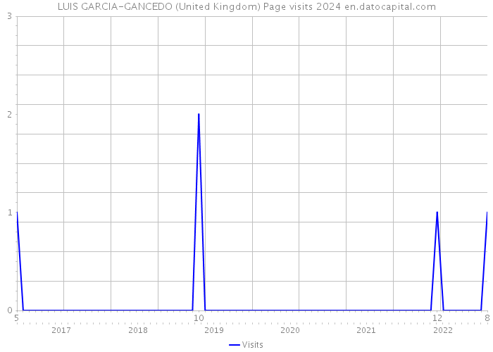 LUIS GARCIA-GANCEDO (United Kingdom) Page visits 2024 