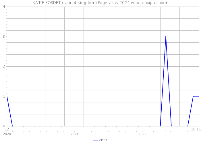 KATIE BOSDET (United Kingdom) Page visits 2024 