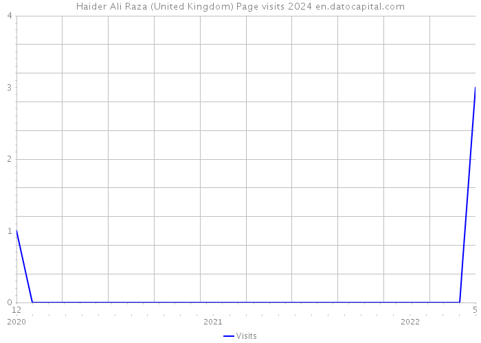 Haider Ali Raza (United Kingdom) Page visits 2024 