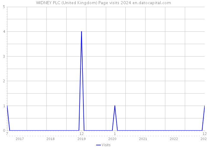 WIDNEY PLC (United Kingdom) Page visits 2024 