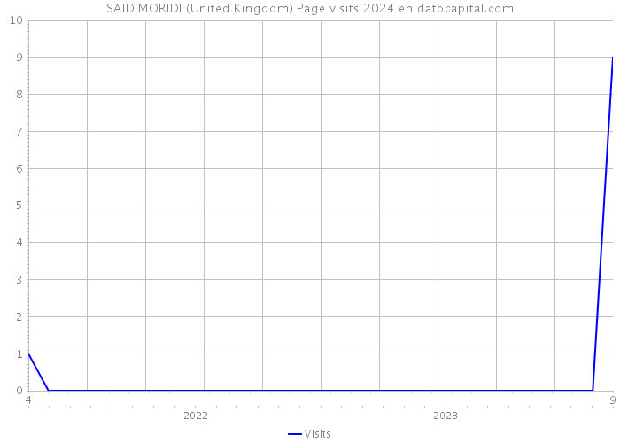 SAID MORIDI (United Kingdom) Page visits 2024 