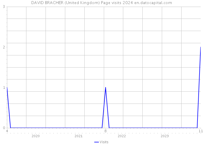 DAVID BRACHER (United Kingdom) Page visits 2024 