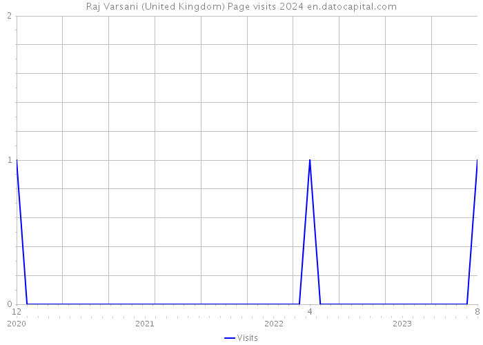 Raj Varsani (United Kingdom) Page visits 2024 