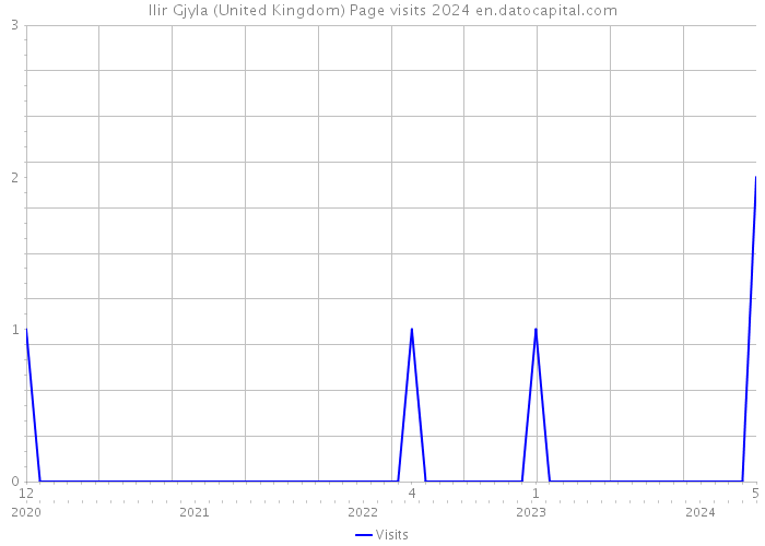 Ilir Gjyla (United Kingdom) Page visits 2024 