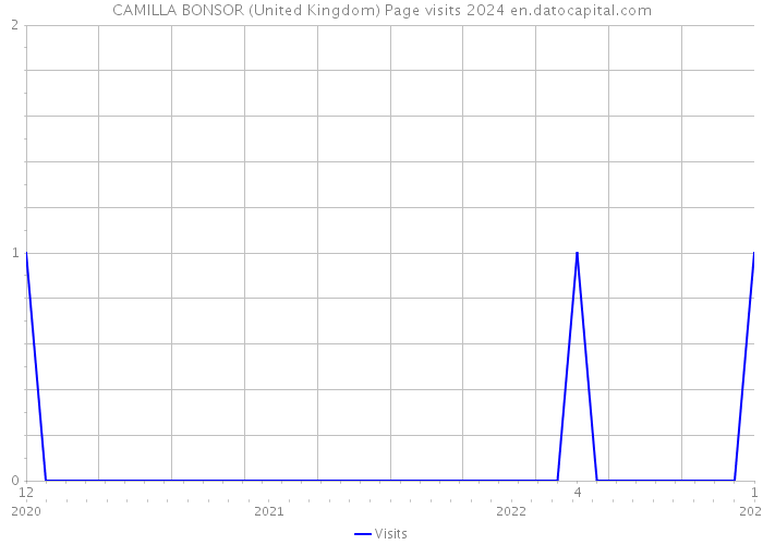 CAMILLA BONSOR (United Kingdom) Page visits 2024 
