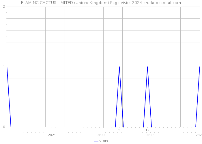 FLAMING CACTUS LIMITED (United Kingdom) Page visits 2024 
