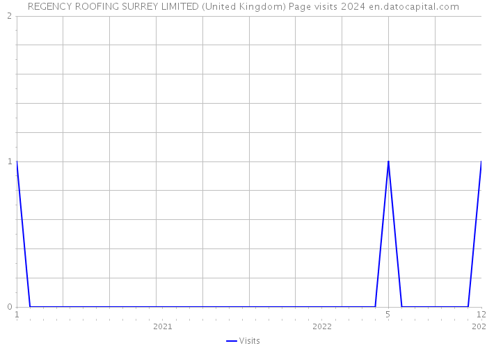 REGENCY ROOFING SURREY LIMITED (United Kingdom) Page visits 2024 