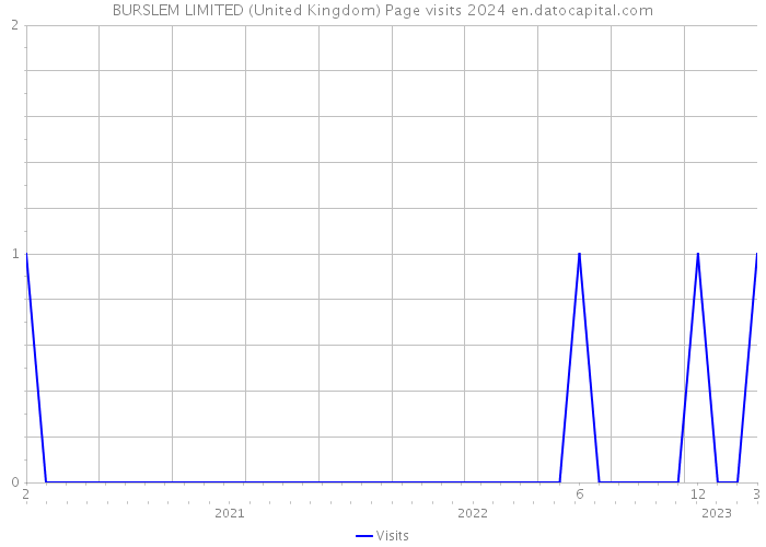 BURSLEM LIMITED (United Kingdom) Page visits 2024 