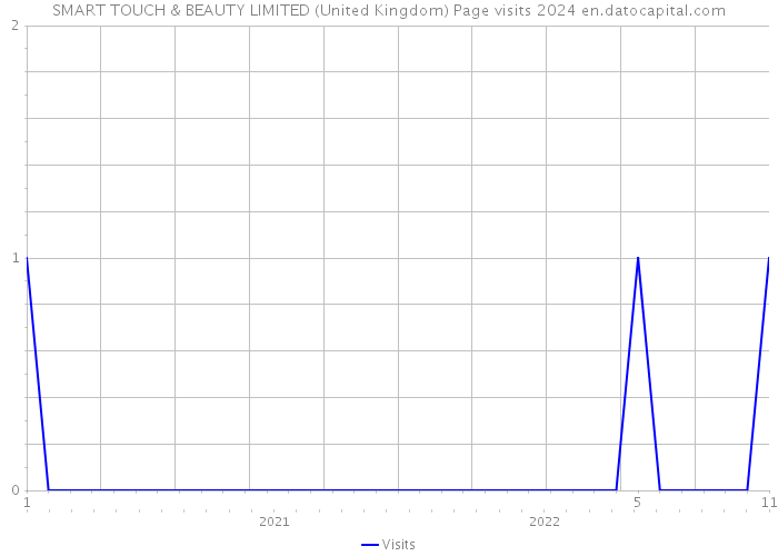 SMART TOUCH & BEAUTY LIMITED (United Kingdom) Page visits 2024 