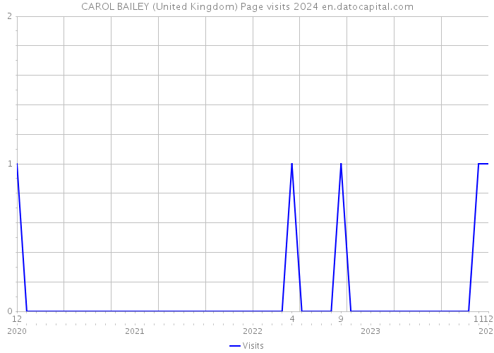CAROL BAILEY (United Kingdom) Page visits 2024 
