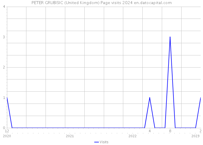 PETER GRUBISIC (United Kingdom) Page visits 2024 