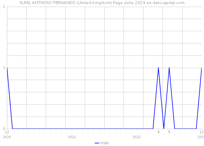 SUNIL ANTHONY FERNANDO (United Kingdom) Page visits 2024 